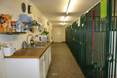 Inside kennels